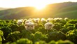 © FadhilMukhtarizan - Knitted Sheep Flock Grazing in Golden Hour Sunlight