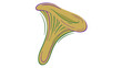 © HAMIDGHOURI - Colorful line vector icon illustration of a magic fantasy violet chanterelle mushroom with editable stroke, adjustable stroke weight, customizable line weight, thin line design for forest themes.