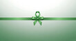 © Ahsanul - Green ribbon with bow on gradient background for decoration or gift wrapping purposes transparent background
