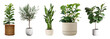 © Rawpixel.com - PNG Diverse indoor potted plant collection on transparent background