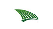 © Rita - Modern abstract green leaf or blade graphic design element.