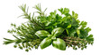 © Mira - Fresh bundle of basil rosemary thyme and parsley, isolated on transparent background