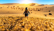 © AishahNabilah - A determined penguin with a small backpack embarks on an adventurous journey across a vast, sun-drenched desert landscape.