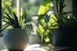 © Tetiana - Eco friendly beautiful home decor with modern wooden planter and fresh green plants on sunlight table interior, generative ai