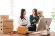 © Kritdanai - Two Women Collaborating in a Home Office