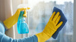 © Alexander - Hands in yellow rubber gloves cleaning window glass with blue spray bottle and microfiber cloth, bright home cleaning routine, streak-free glass care and household housekeeping con