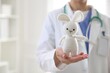 © New Africa - Pediatrician holding toy bunny in clinic, closeup. Space for text