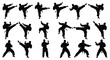 © Urmi512 - Martial arts silhouettes depicting various kicking and fighting poses black on white