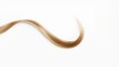 © LimeSky - One curved hair lies on a plain white backdrop.