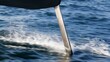 © Tap - hydrofoil. Silver hydrofoil cutting through ocean water with splashing white foam. mobility guides, transit brochures, designed for transport & logistics marketing, used by marketing managers.