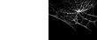 © Creative Png - Tattered old spider web corner element isolated on transparent background with alpha channel mask for horror and halloween scene creation realistic dusty cobweb illustration.