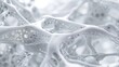 © LCH photo gallery - Abstract 3D rendering of porous bone structure with intricate details and soft lighting