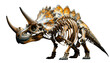 © rozan - A detailed view of a Triceratops skeleton against a black background.