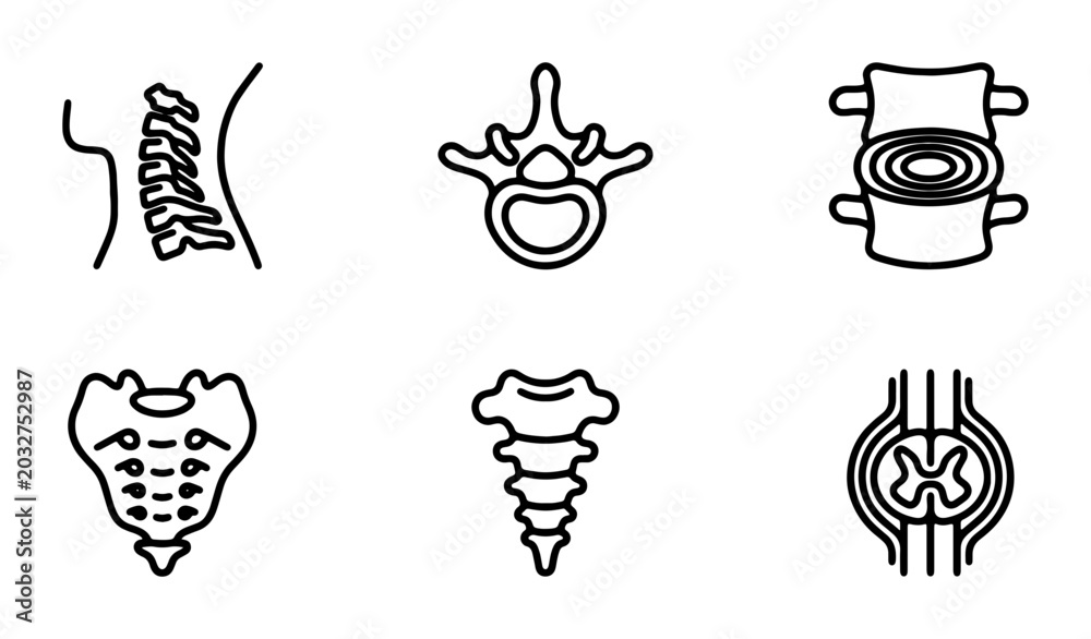 Spinal Alignment Symbol Spine Anatomy Icons, Vertebrae Medical Diagrams, Spinal Column Health ...