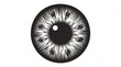 © Create of God - Black and white stylized human eye iris with perception illustration awareness