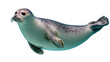 © Peregrine - Harbor seal swimming underwater with speckled fur and flippers