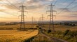 © Anzhelika - Electric pylons in rural field during golden hour. Overhead power lines transmitting energy across countryside. Infrastructure for electricity supply and industrial landscape concept.