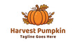 © StockWave - Autumn harvest pumpkin logo with decorative leaves.