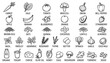 © SJB studio - Hand drawn sketch style vector illustrations of fresh fruits vegetables grains and dairy products.