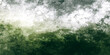 © Zìyóu - Grungy watercolor landscape background, abstract green forest texture vector, weathered nature scenery with distressed paint effects and earthy tones