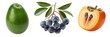 © MDSELIM - Fresh avocado blueberry and persimmon fruits with leaves on white background