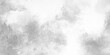 © sadia - Grey watercolor background. hand painted by brush. Monochrome black and white ink effect water color illustration. Marble texture background smoky and fog effect for photos and art works.