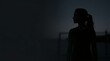 © Shelly - Silhouette of Determined Woman Looking to the Side in Dark Twilight Background