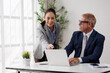 © David - Businesswoman pointing at a laptop screen while mentoring and collaborating with a seated senior male colleague at a desk, sharing ideas and discussing a project in a modern office