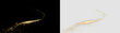 © denzelll - Gold sparkles and glowing trail isolated on transparent and black background, showing movement and brightness for creative projects or designs, light overlay, PNG