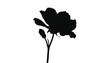 © Usama - Single black rose silhouette with two delicate buds stands prominently on a clean white background.