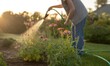 © DAVA - Watering Flowers in the Garden at Sunset.
