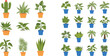 © MdRissalat - Indoor houseplant collection vector illustration featuring tropical plants cactus succulents and decorative potted greenery designs