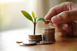 © alfredo - Plant growing on coins, hand adding money