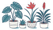 © Hirak - Vector illustration of various potted houseplants including monsteras and flowering plants with houseplant