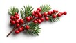 © GlimmerPixel - A sprig of evergreen with bright red berries, perfect for holiday decoration