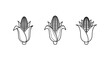 © Dekalo - Three black and white corn cobs illustration set.