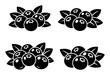 © ProVector - Blueberry icons set featuring ripe berries with green leaves, presenting a sweet fruit concept in a minimalist silhouette vector style