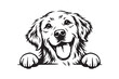 © M - Golden Retriever peeking dog vector illustration, happy puppy head with paws over edge, black and white pet line art for t-shirt design and decals