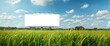 © AkuAku - Blank advertising billboard located in a dense grass field providing copy space