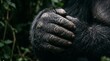 © ZaynR - Intimate Close-up of a Primate's Hand in its Verdant Natural Forest Habitat