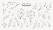 © soo. - 花や葉の植物の線画イラスト ボタニカルなペン画風の手描きセット