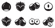 © Mst Zakia - Collection of stylized black and white hazelnut icons showing various stages of the nut and its shell on transparent background
