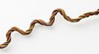 © Kathy - A long winding brown vine twisting and turning alone on a plain white background for design elements, growth, and natural structure, twisted, dry, structure