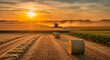 © armo - Harvest Season Sunrise Over Hay Bales in Misty Farmland Countryside