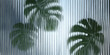 © jr graphics - Green monstera leaves viewed through vertical ribbed glass texture with monstera abstract distorted background tropical refraction vertical transparent botanical aesthetic creative
