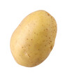© natthapol - Unpeeled raw potato isolated, transparent PNG, PNG format, single