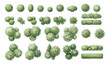 © Hand Made Assets - Set of top view trees and bushes for architectural landscape design isolated on white background