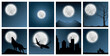 © Grand1x - Collection illustration of a silhouette of a wolf, city, airplane, mountains, man and trees on a background of the moon