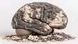 © Hesti - Conceptual brain with puzzle pieces neurology problem solving memory knowledge