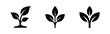 © Lili - Young plant icon set. Sapling, sprout, and new growth symbols for nature and environment.